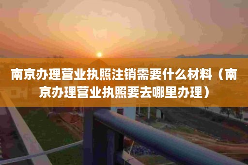 南京办理营业执照注销需要什么材料（南京办理营业执照要去哪里办理）