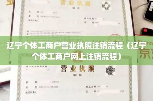 辽宁个体工商户营业执照注销流程（辽宁个体工商户网上注销流程）