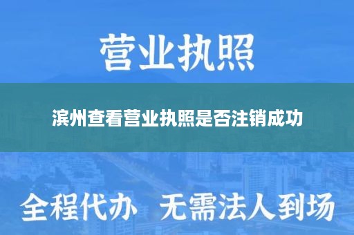 滨州查看营业执照是否注销成功