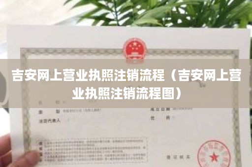 吉安网上营业执照注销流程（吉安网上营业执照注销流程图）