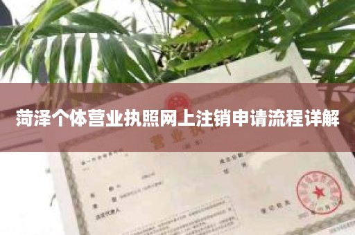 菏泽个体营业执照网上注销申请流程详解