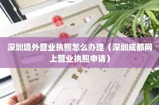 深圳境外营业执照怎么办理（深圳成都网上营业执照申请）