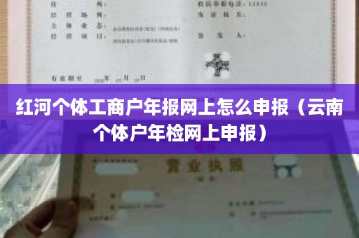 红河个体工商户年报网上怎么申报（云南个体户年检网上申报）