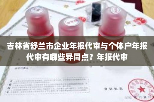 吉林省舒兰市企业年报代审与个体户年报代审有哪些异同点？年报代审