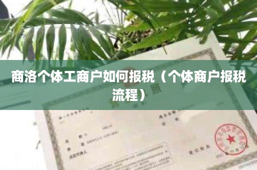 商洛个体工商户如何报税（个体商户报税流程）