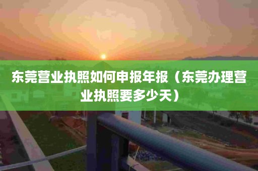 东莞营业执照如何申报年报（东莞办理营业执照要多少天）