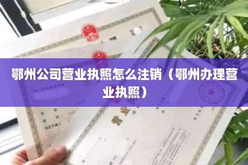 鄂州公司营业执照怎么注销（鄂州办理营业执照）