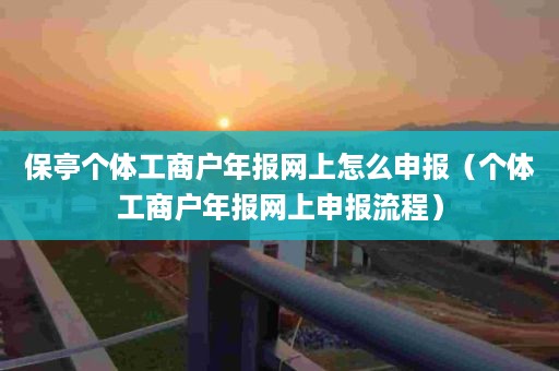 保亭个体工商户年报网上怎么申报（个体工商户年报网上申报流程）