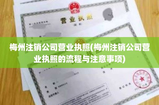 梅州注销公司营业执照(梅州注销公司营业执照的流程与注意事项)