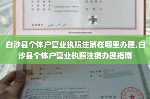 白沙县个体户营业执照注销在哪里办理,白沙县个体户营业执照注销办理指南