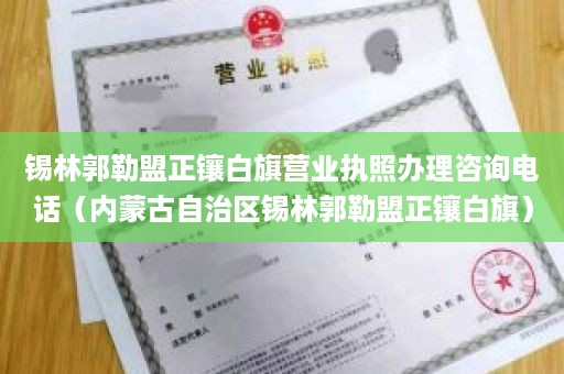 锡林郭勒盟正镶白旗营业执照办理咨询电话（内蒙古自治区锡林郭勒盟正镶白旗）