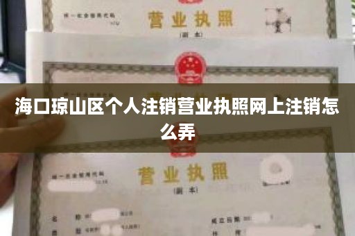 海口琼山区个人注销营业执照网上注销怎么弄