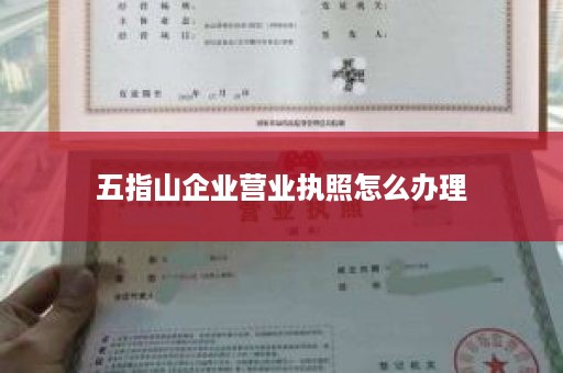 五指山企业营业执照怎么办理