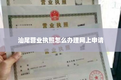 汕尾营业执照怎么办理网上申请