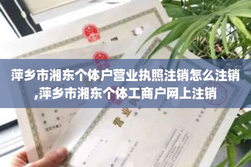 萍乡市湘东个体户营业执照注销怎么注销,萍乡市湘东个体工商户网上注销