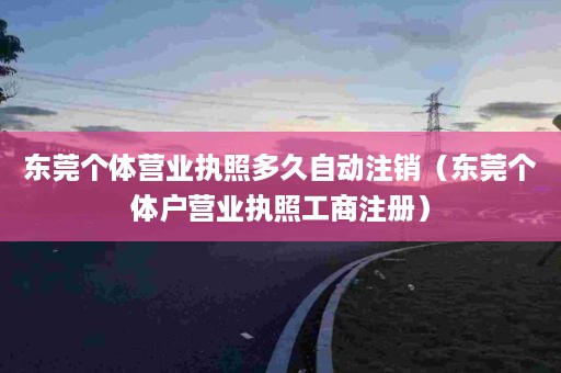 东莞个体营业执照多久自动注销（东莞个体户营业执照工商注册）