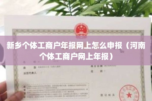 新乡个体工商户年报网上怎么申报（河南个体工商户网上年报）