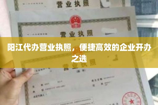 阳江代办营业执照，便捷高效的企业开办之选