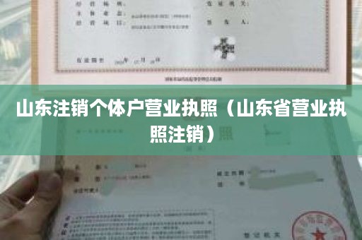 山东注销个体户营业执照（山东省营业执照注销）