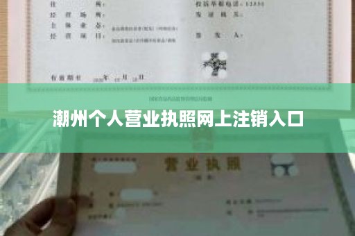 潮州个人营业执照网上注销入口