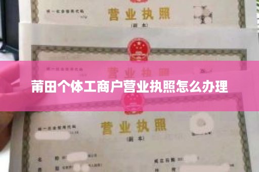 莆田个体工商户营业执照怎么办理