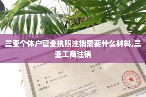 三亚个体户营业执照注销需要什么材料,三亚工商注销