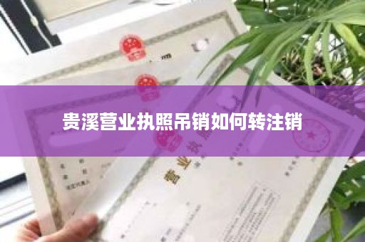 贵溪营业执照吊销如何转注销