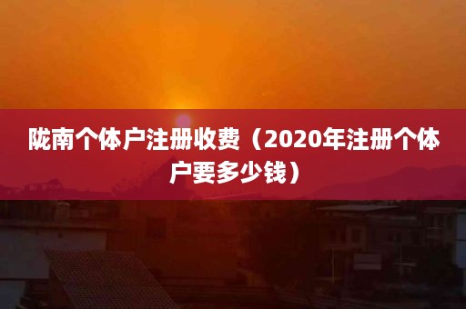 陇南个体户注册收费（2020年注册个体户要多少钱）