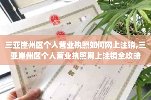 三亚崖州区个人营业执照如何网上注销,三亚崖州区个人营业执照网上注销全攻略