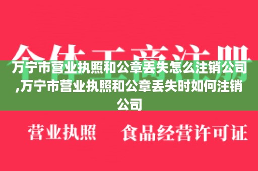 万宁市营业执照和公章丢失怎么注销公司,万宁市营业执照和公章丢失时如何注销公司