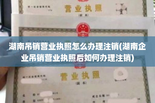 湖南吊销营业执照怎么办理注销(湖南企业吊销营业执照后如何办理注销)