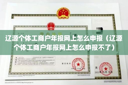 辽源个体工商户年报网上怎么申报（辽源个体工商户年报网上怎么申报不了）