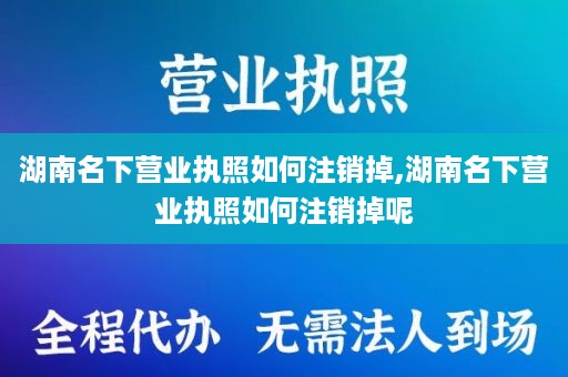 湖南名下营业执照如何注销掉,湖南名下营业执照如何注销掉呢