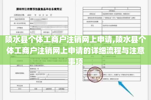 陵水县个体工商户注销网上申请,陵水县个体工商户注销网上申请的详细流程与注意事项