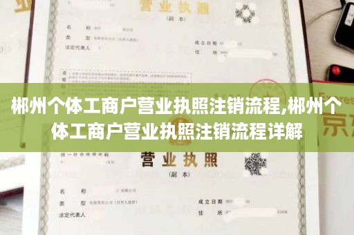 郴州个体工商户营业执照注销流程,郴州个体工商户营业执照注销流程详解