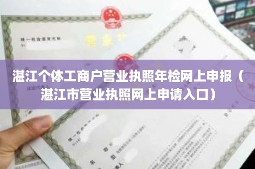 湛江个体工商户营业执照年检网上申报（湛江市营业执照网上申请入口）