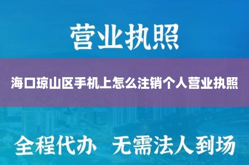 海口琼山区手机上怎么注销个人营业执照