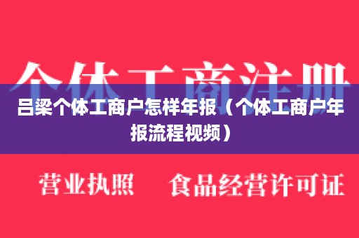 吕梁个体工商户怎样年报（个体工商户年报流程视频）