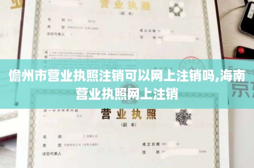 儋州市营业执照注销可以网上注销吗,海南营业执照网上注销