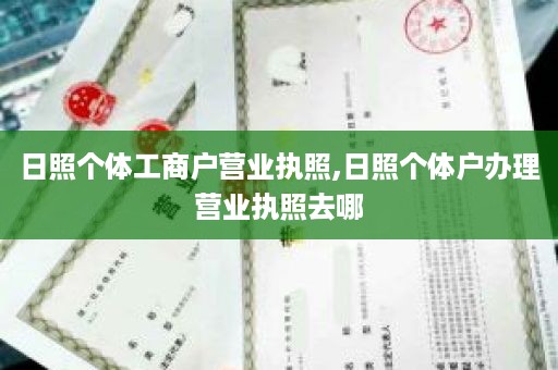 日照个体工商户营业执照,日照个体户办理营业执照去哪