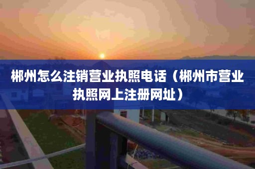 郴州怎么注销营业执照电话（郴州市营业执照网上注册网址）