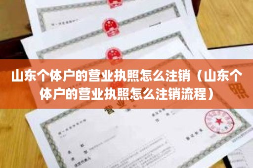 山东个体户的营业执照怎么注销（山东个体户的营业执照怎么注销流程）