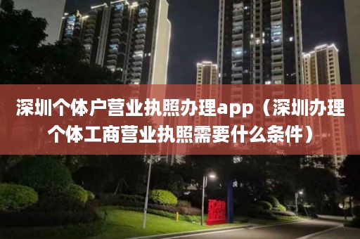 深圳个体户营业执照办理app（深圳办理个体工商营业执照需要什么条件）