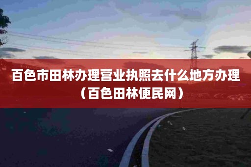 百色市田林办理营业执照去什么地方办理（百色田林便民网）