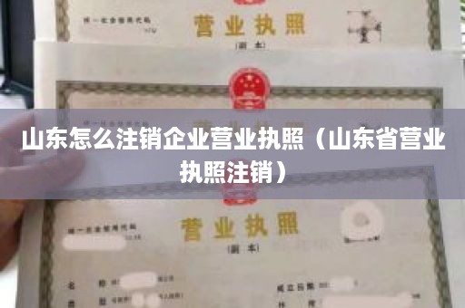 山东怎么注销企业营业执照（山东省营业执照注销）