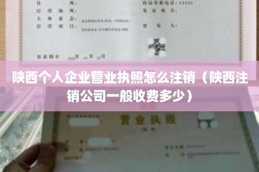 陕西个人企业营业执照怎么注销（陕西注销公司一般收费多少）