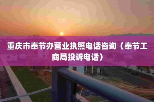 重庆市奉节办营业执照电话咨询（奉节工商局投诉电话）