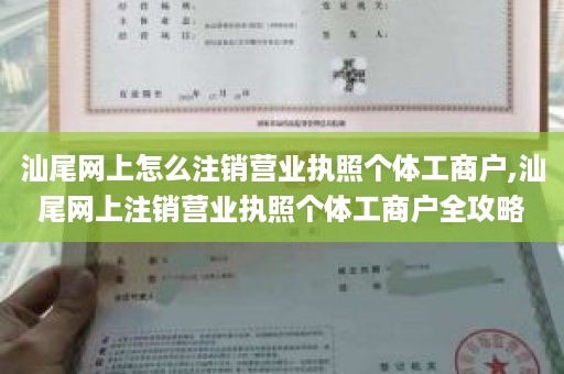 汕尾网上怎么注销营业执照个体工商户,汕尾网上注销营业执照个体工商户全攻略