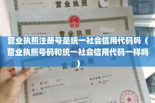 营业执照注册号是统一社会信用代码吗（营业执照号码和统一社会信用代码一样吗）