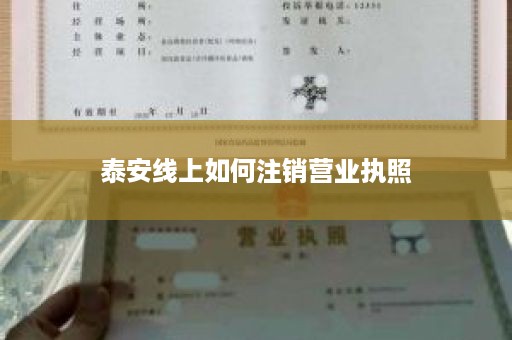 泰安线上如何注销营业执照